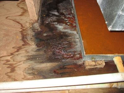 About Providence Water Damage Restoration - water damage restoration experts in Providence